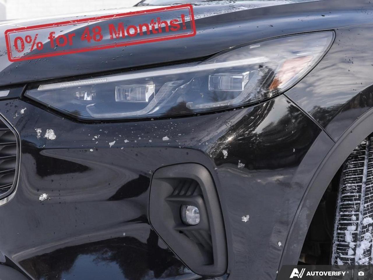 2024 Ford Escape Platinum Photo