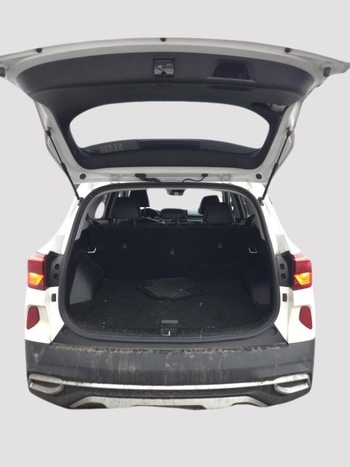 2023 Kia Seltos EX AWD Photo