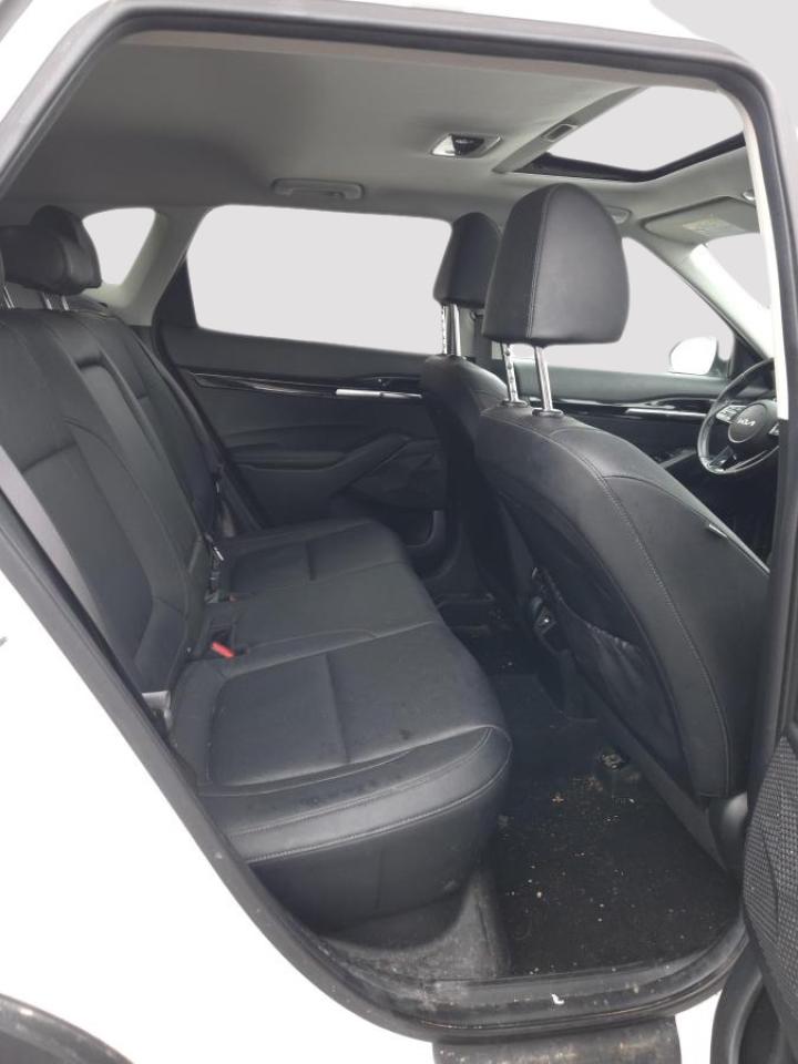 2023 Kia Seltos EX AWD Photo