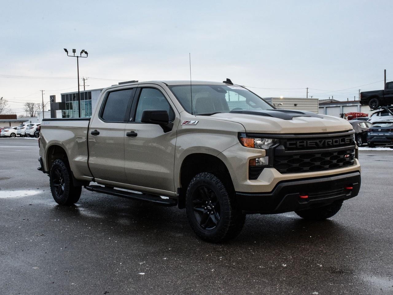 2023 Chevrolet Silverado 1500 Crew Cab Standard Box 4-Wheel Drive Custom Trail Boss Photo4