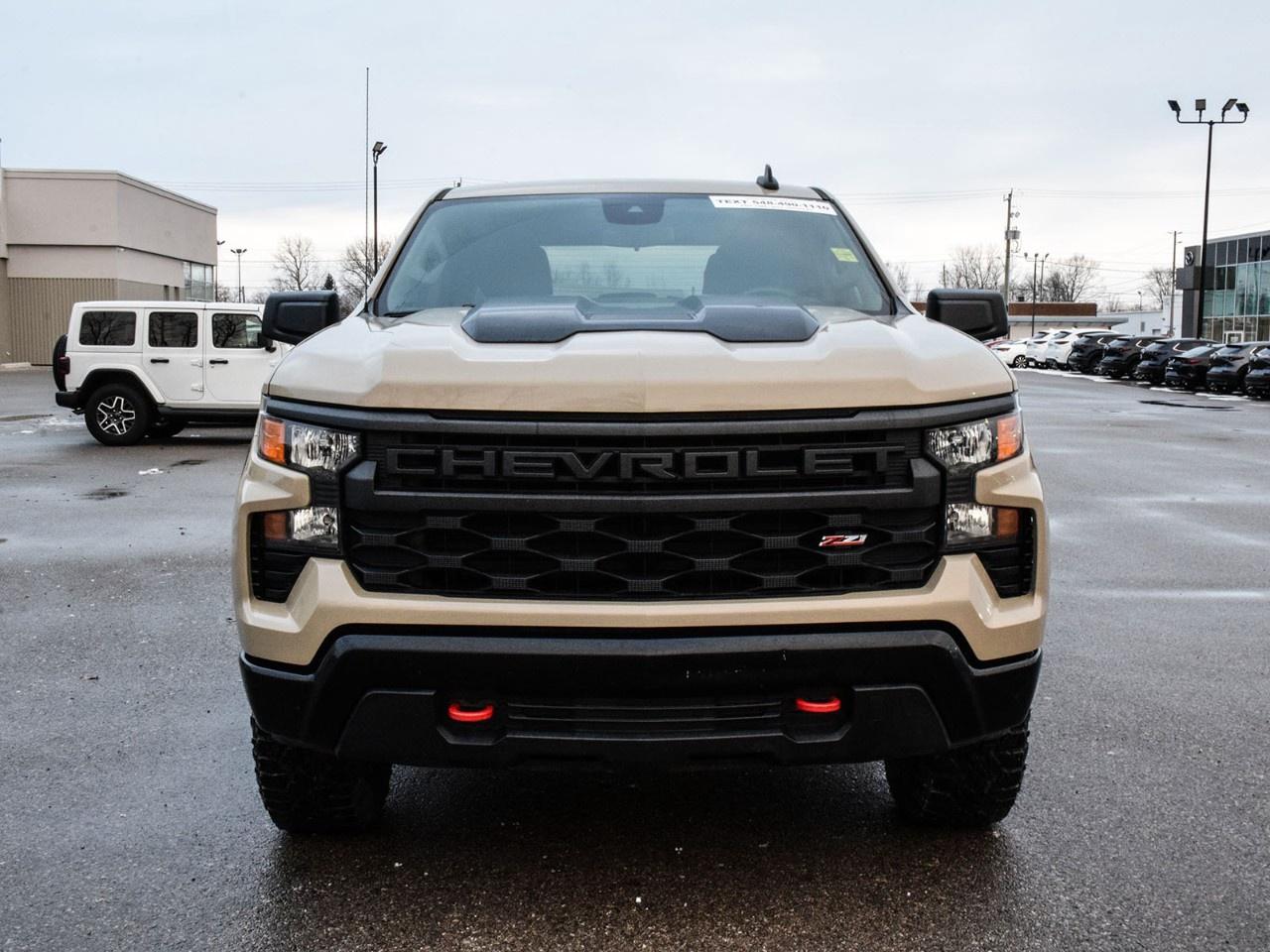 2023 Chevrolet Silverado 1500 Crew Cab Standard Box 4-Wheel Drive Custom Trail Boss Photo