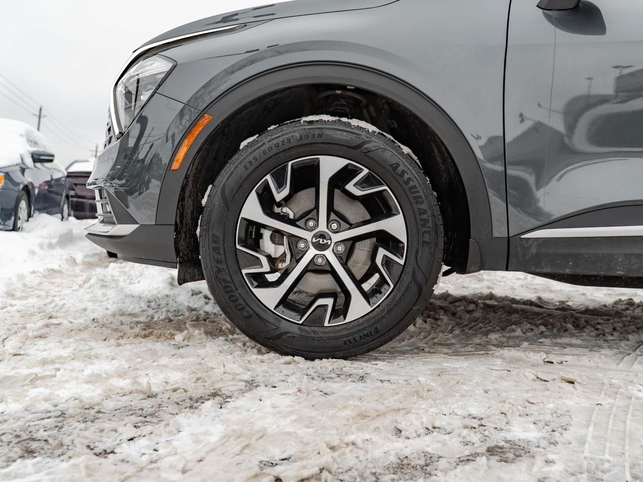 2023 Kia Sportage EX AWD Photo