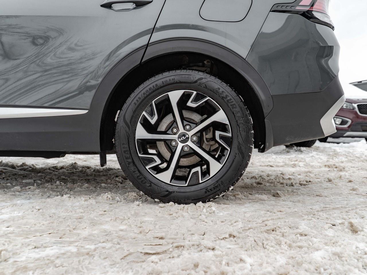 2023 Kia Sportage EX AWD Photo