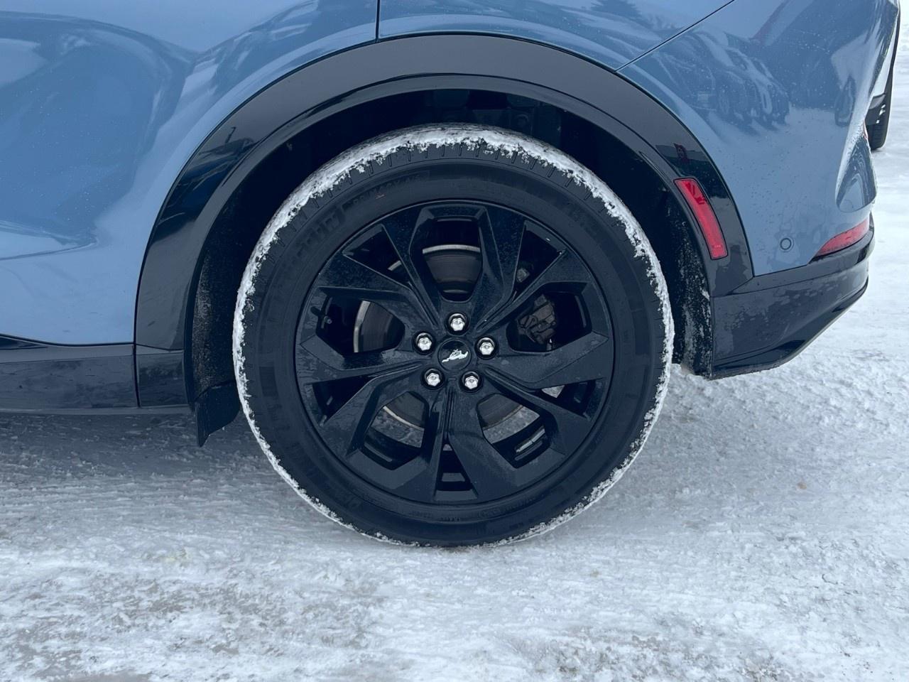 2023 Ford Mustang Mach-E Premium AWD Photo