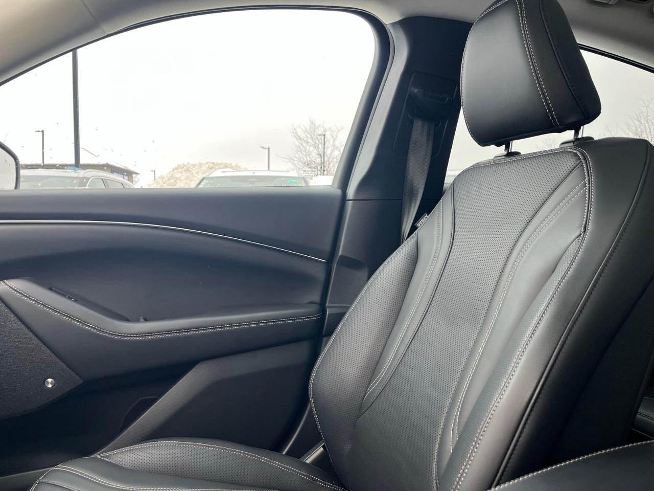 2023 Ford Mustang Mach-E Premium AWD Photo