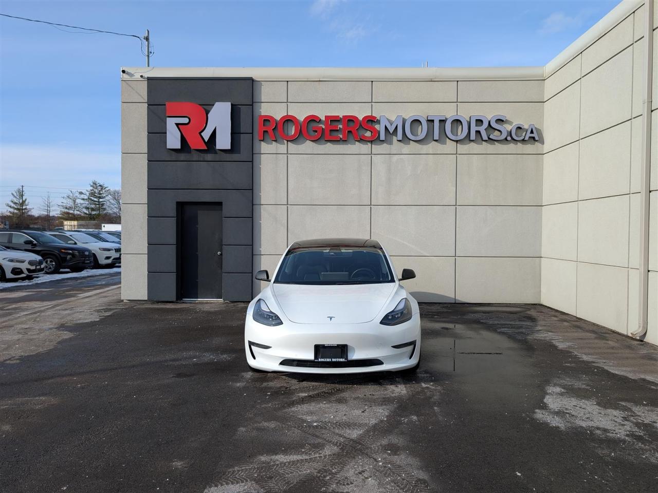 2022 Tesla Model 3 STANDARD Photo