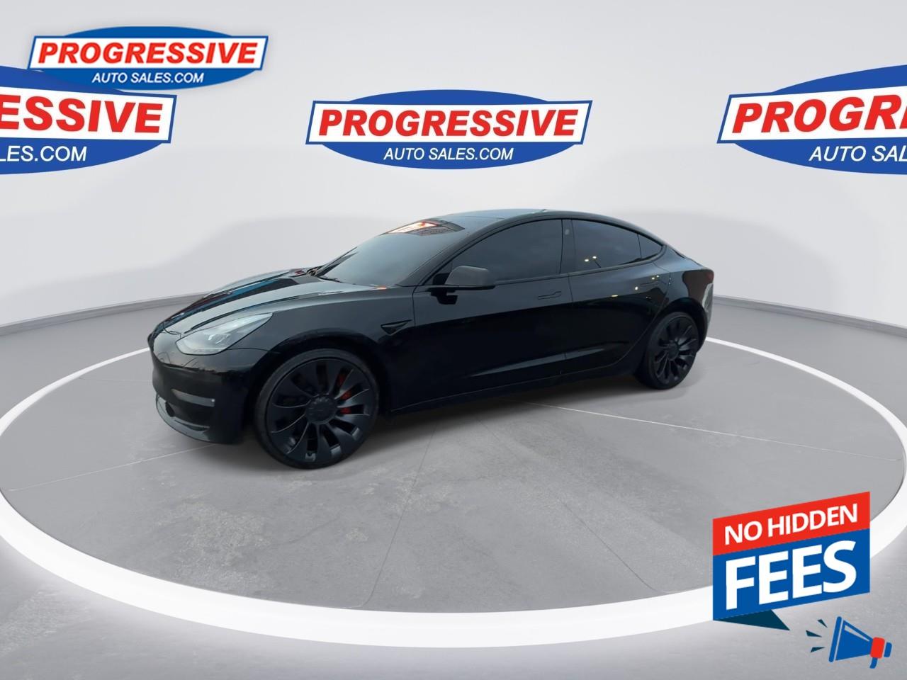 2022 Tesla Model 3 Performance Photo
