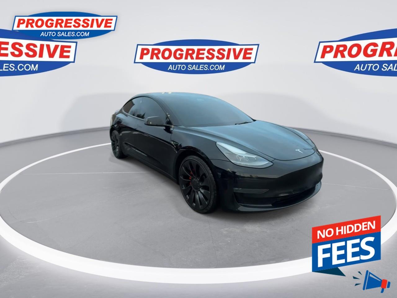 2022 Tesla Model 3 Performance Photo