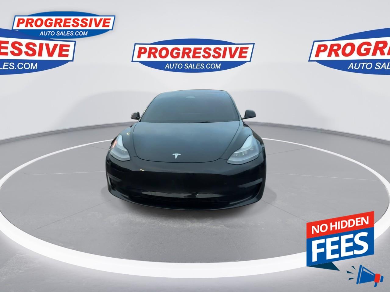 2022 Tesla Model 3 Performance Photo