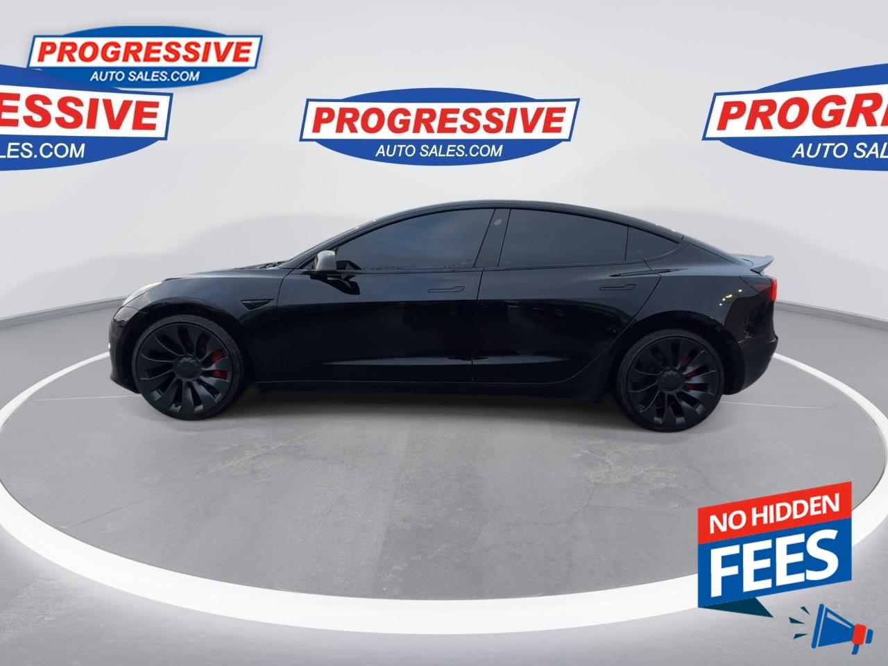 2022 Tesla Model 3 Performance Photo