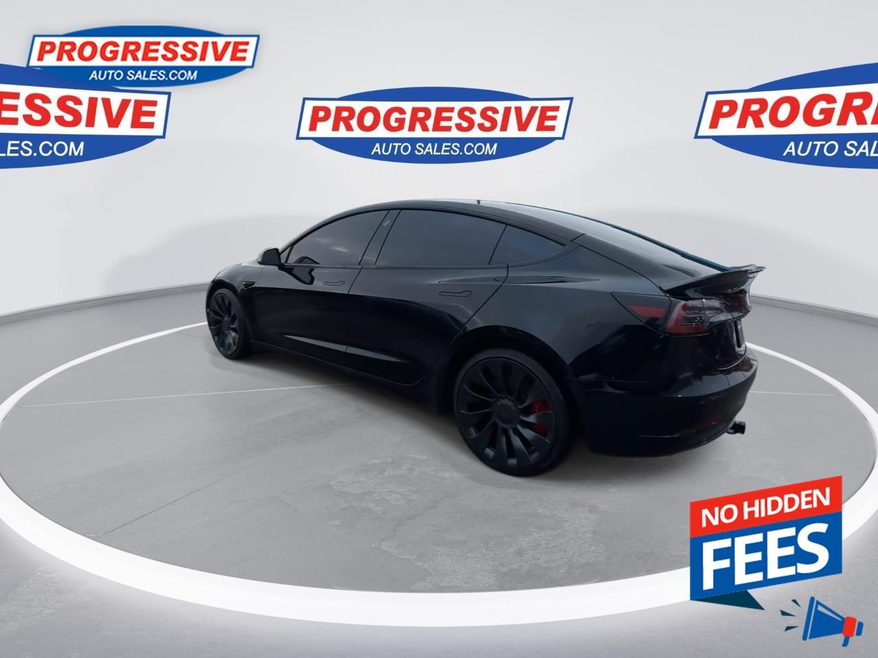 2022 Tesla Model 3 Performance Photo
