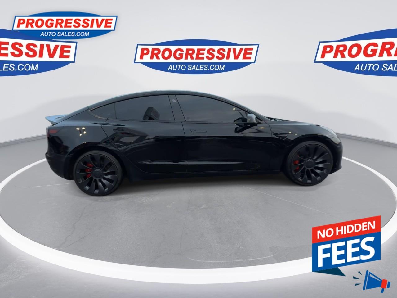 2022 Tesla Model 3 Performance Photo