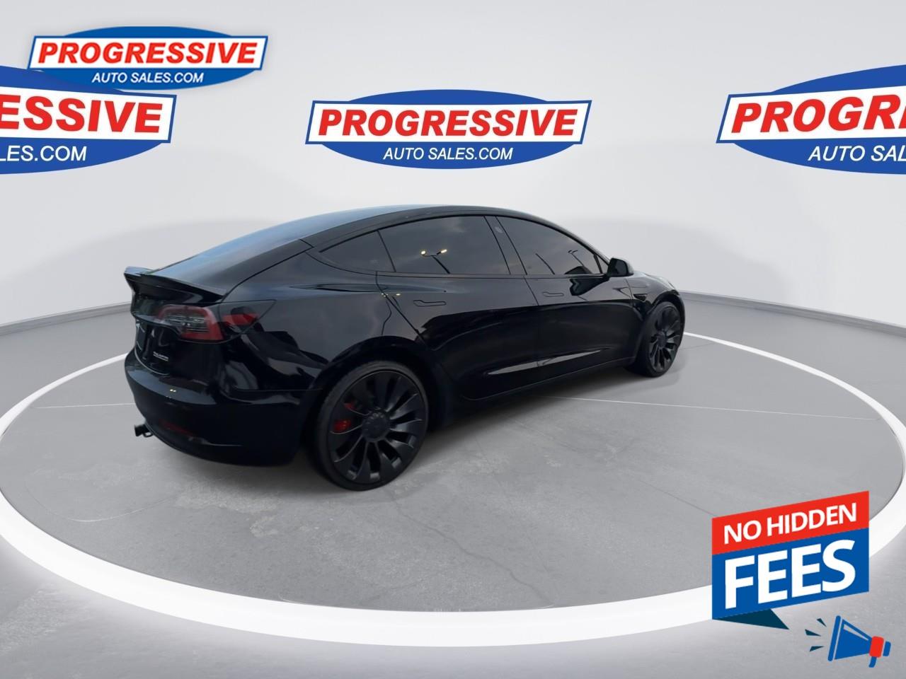 2022 Tesla Model 3 Performance Photo