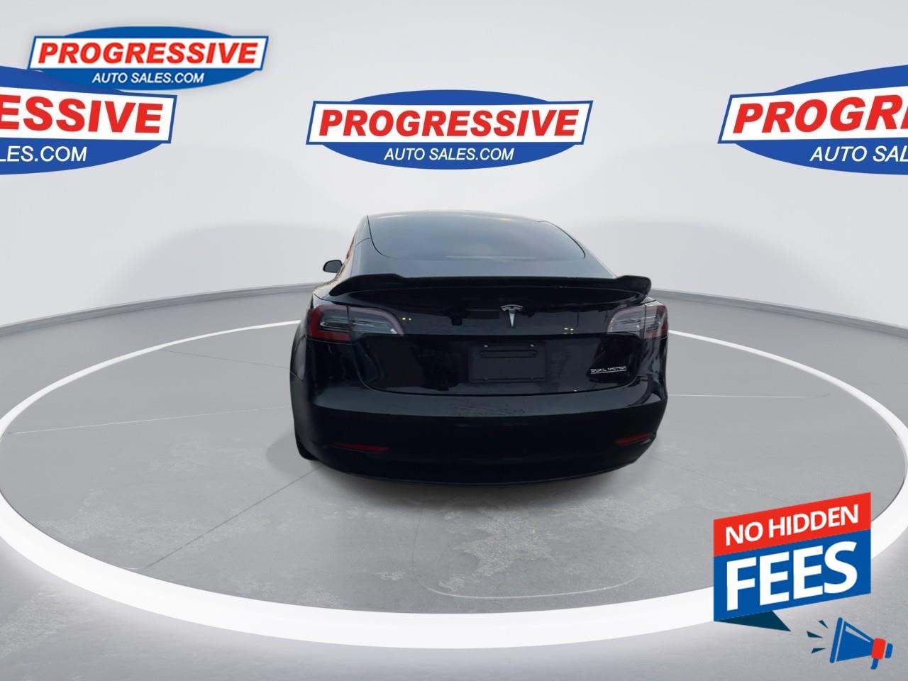 2022 Tesla Model 3 Performance Photo