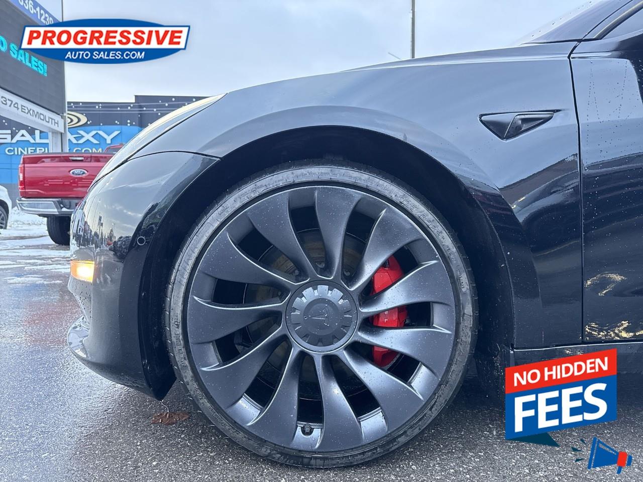 2022 Tesla Model 3 Performance Photo