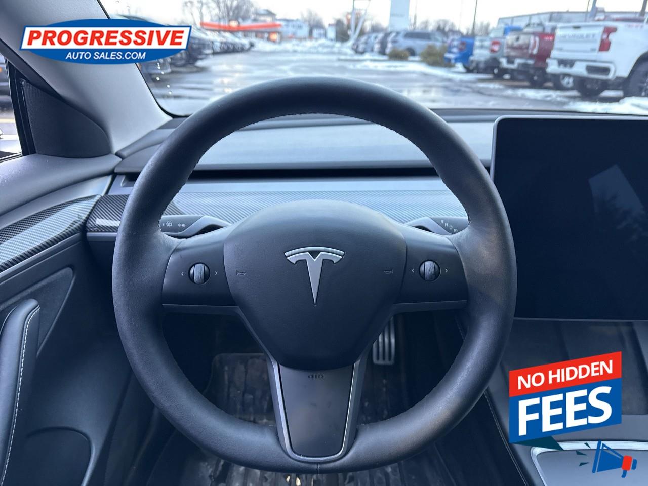 2022 Tesla Model 3 Performance Photo