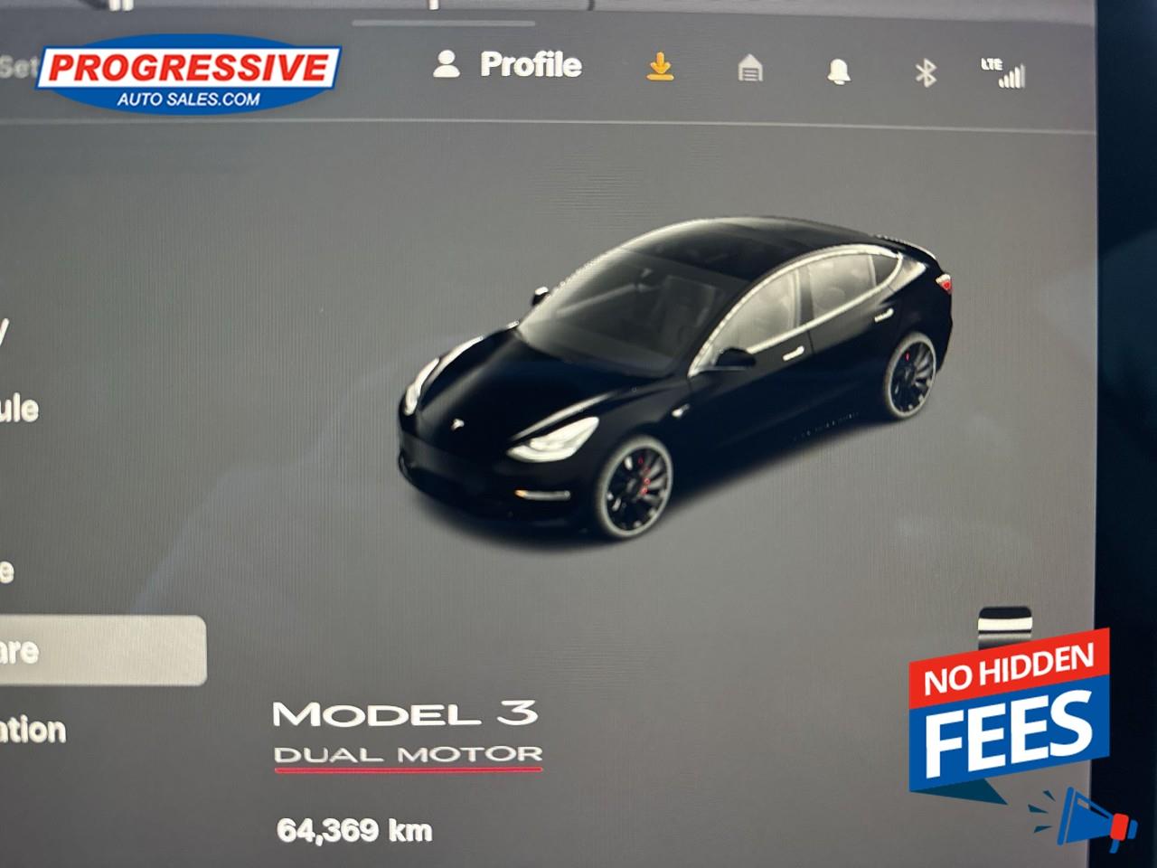 2022 Tesla Model 3 Performance Photo