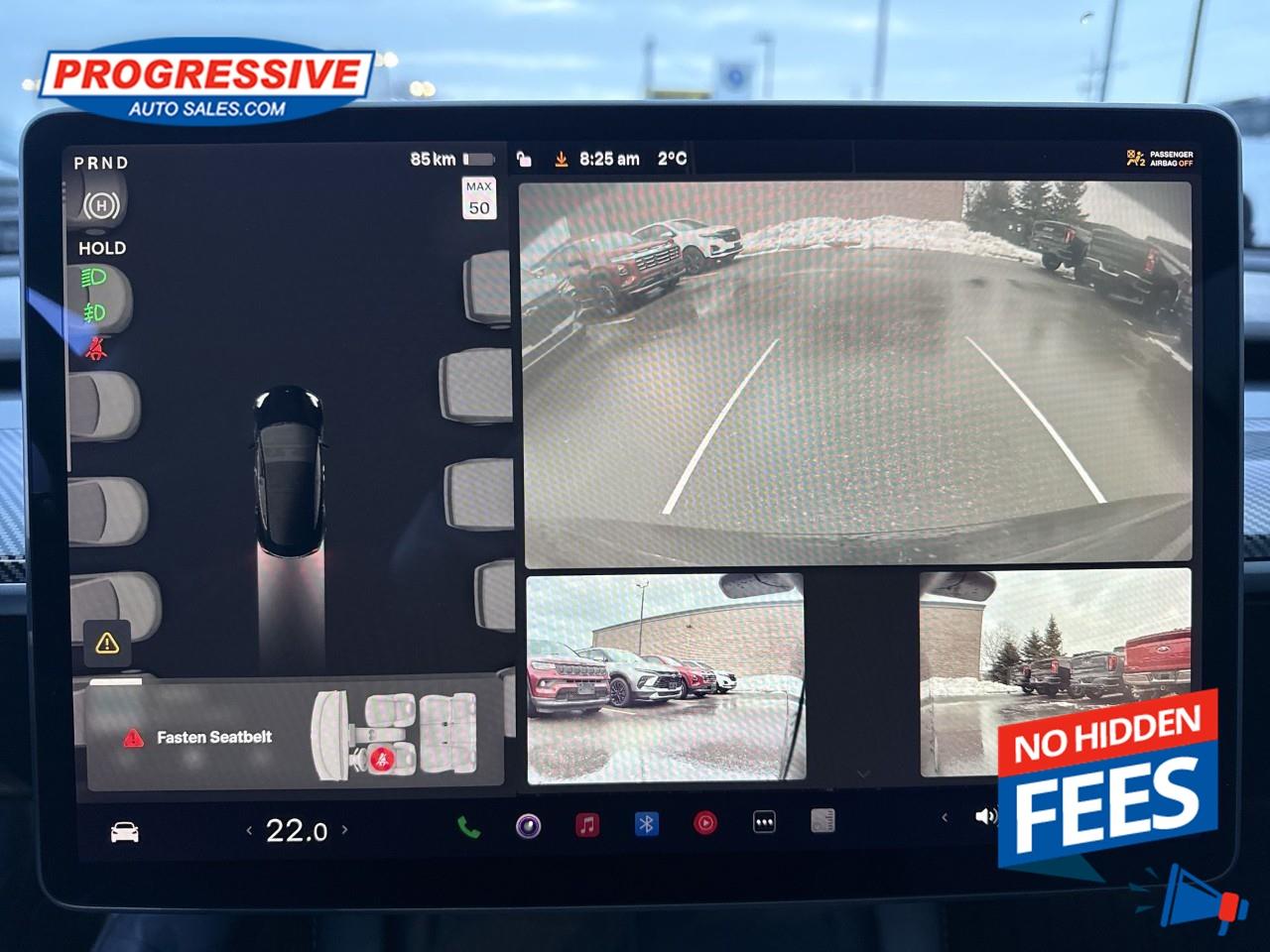 2022 Tesla Model 3 Performance Photo