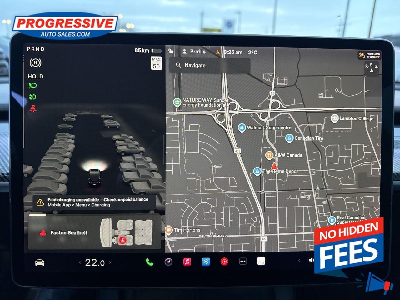 2022 Tesla Model 3 Performance Photo