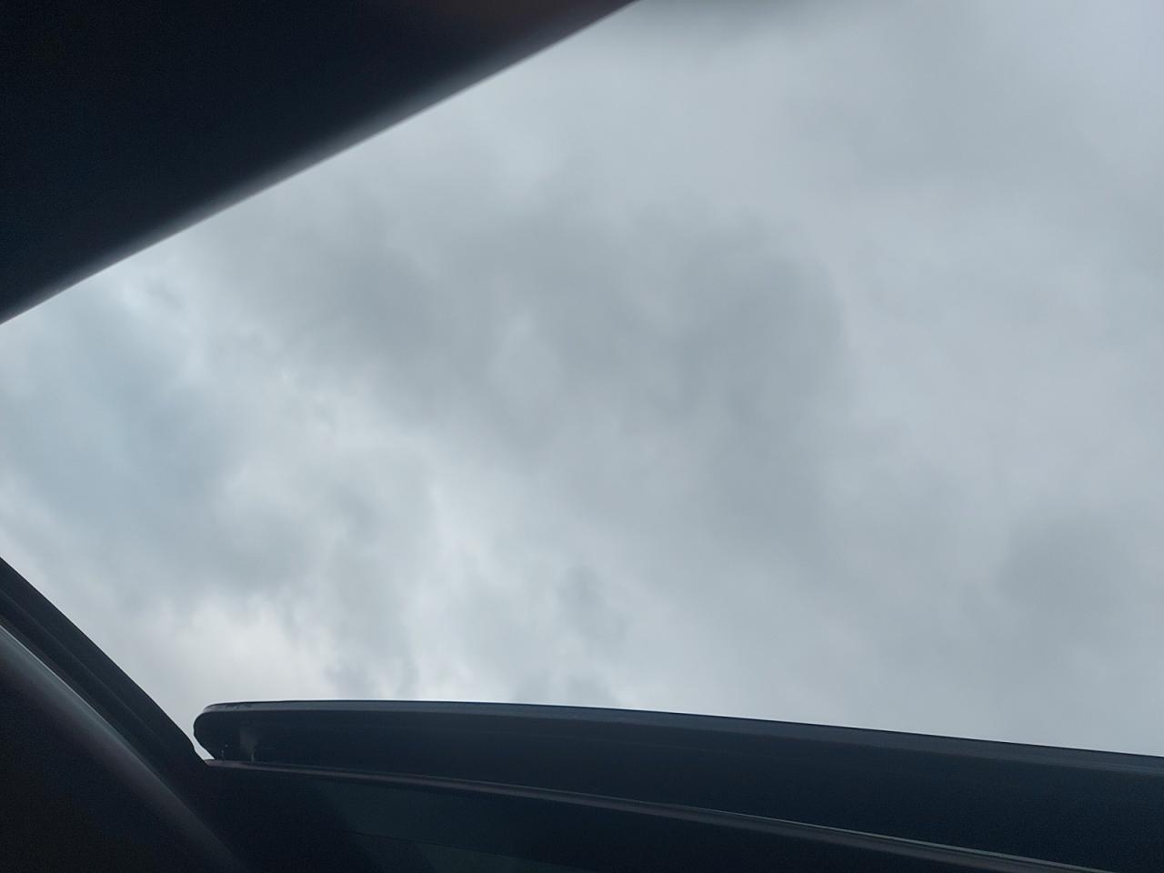 2023 Chevrolet Malibu 1LT Photo