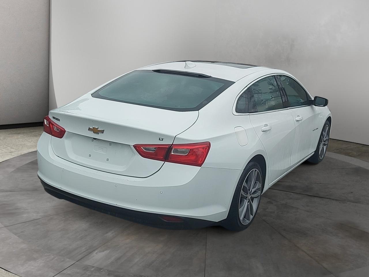 2023 Chevrolet Malibu 1LT Photo