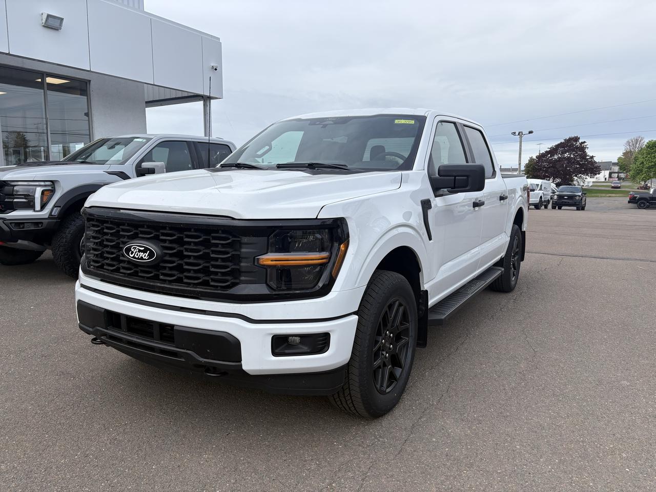 2025 Ford F-150 STX Photo0