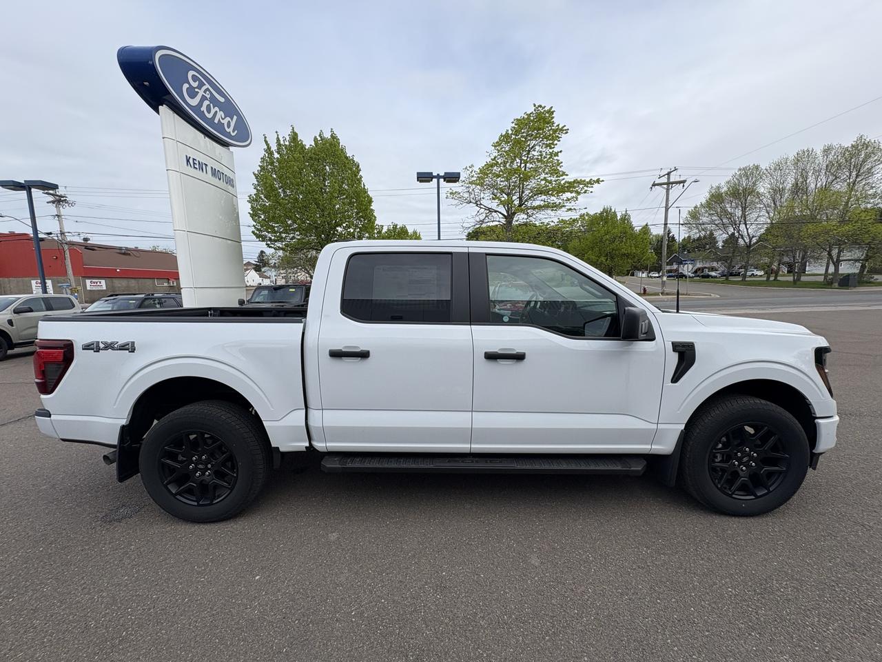 2025 Ford F-150 STX Photo3