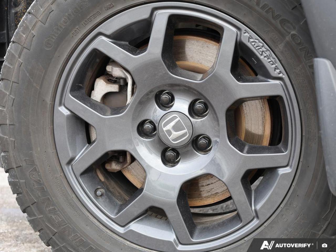 2023 Honda Pilot  Photo