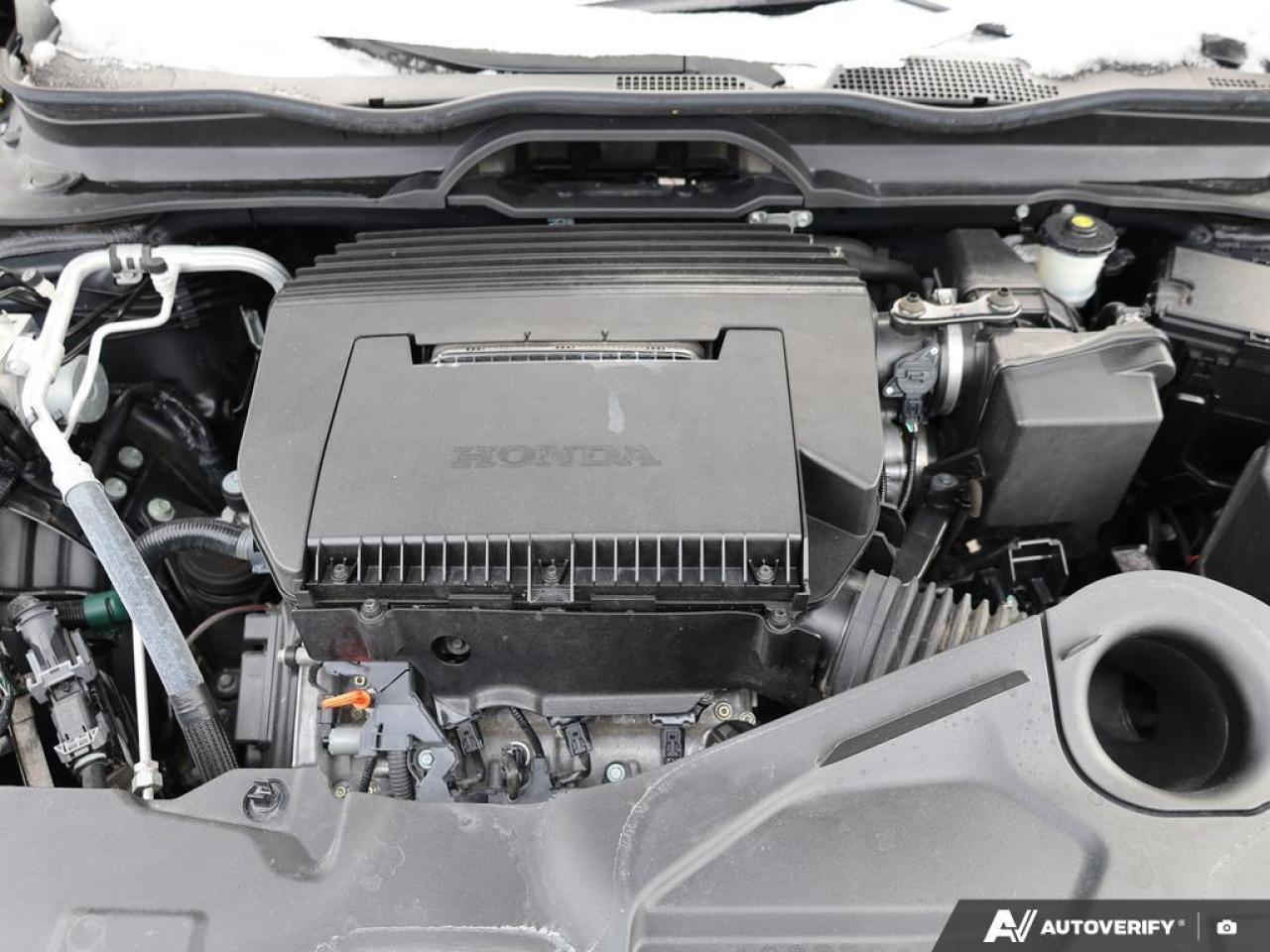 2023 Honda Pilot  Photo