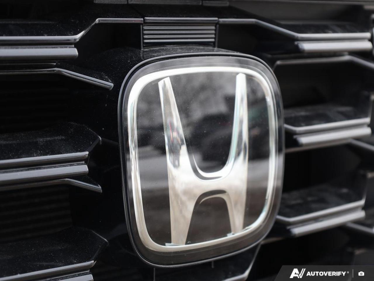 2023 Honda Pilot  Photo