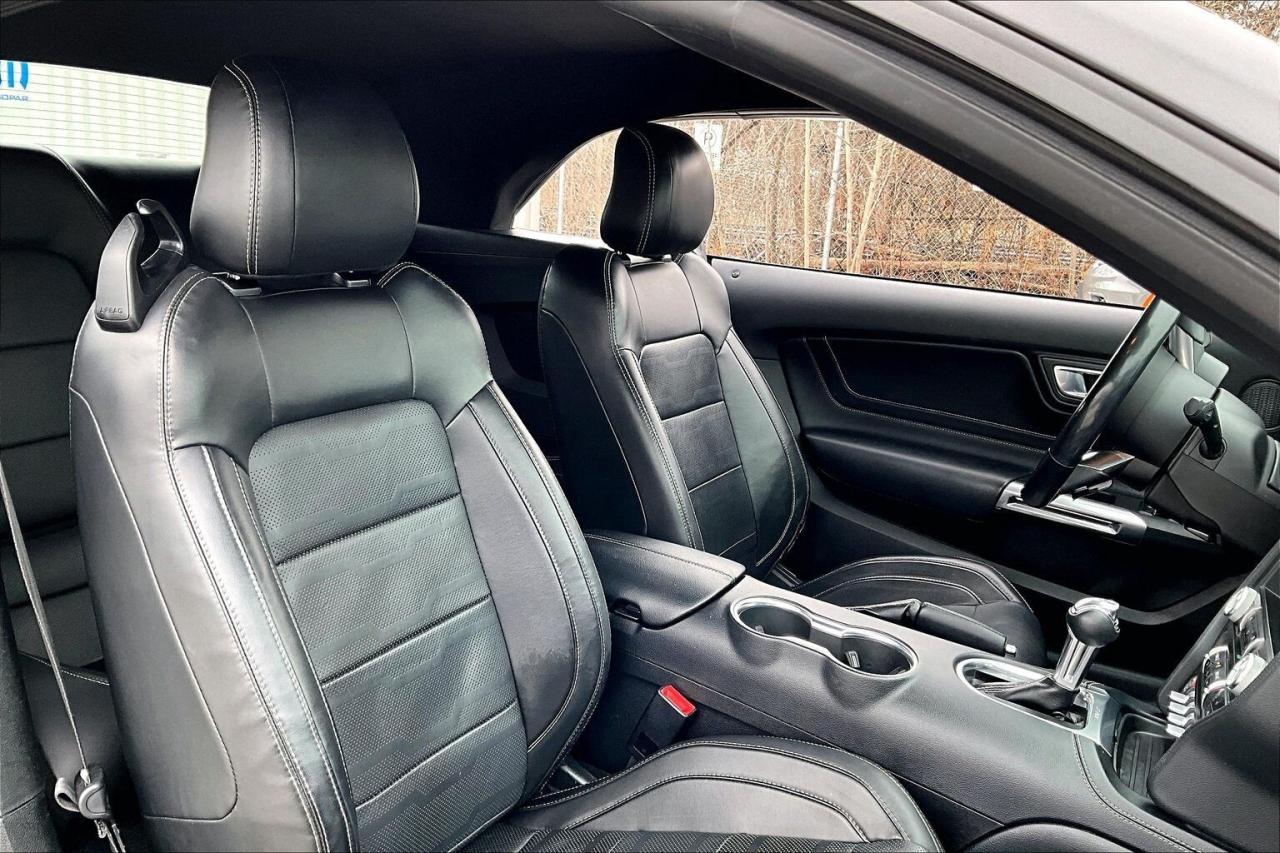 2022 Ford Mustang GT Premium Convertible | 401A Pkg | Black Pkg |RWD Photo