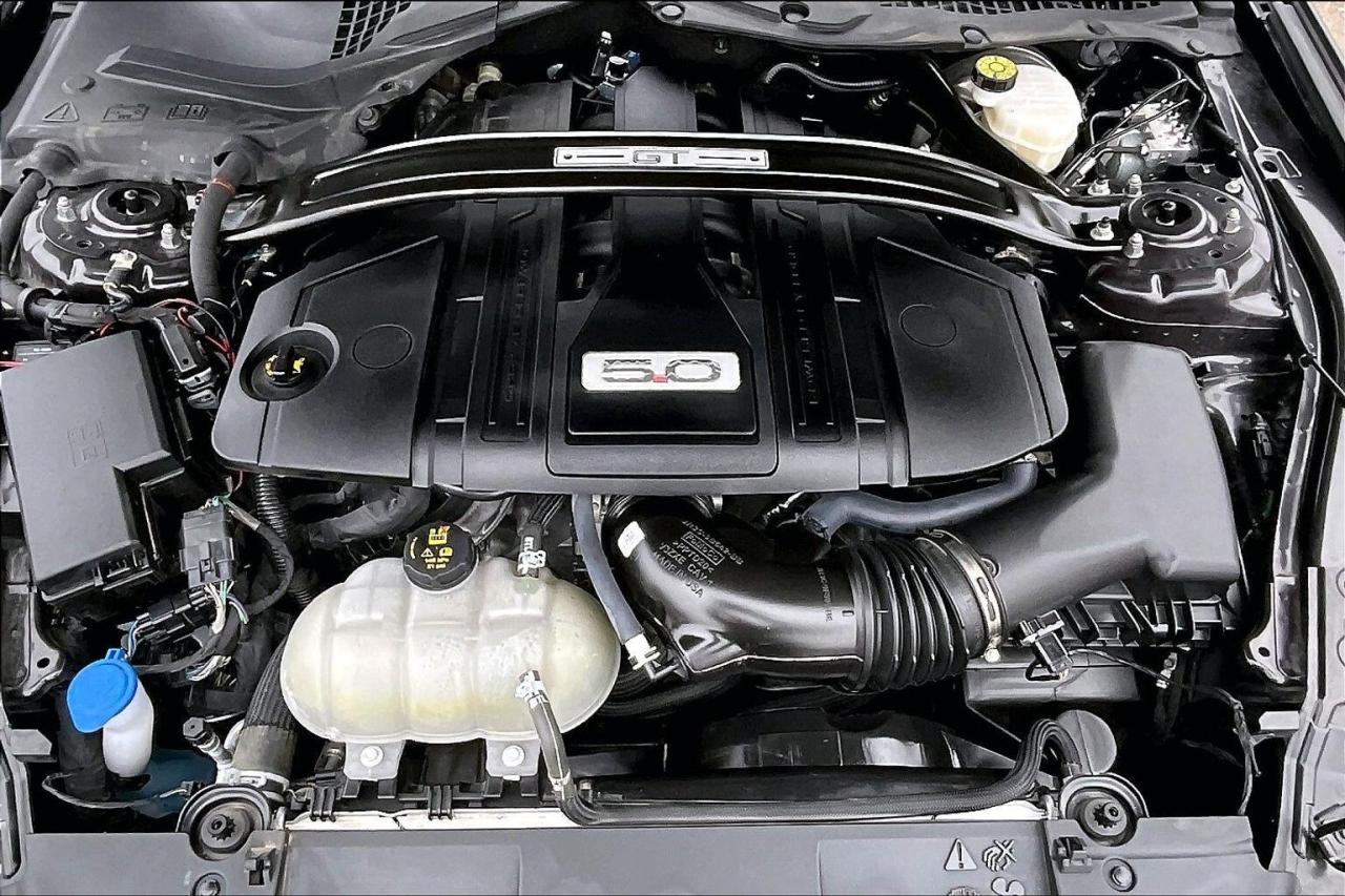 2022 Ford Mustang GT Premium Convertible | 401A Pkg | Black Pkg |RWD Photo