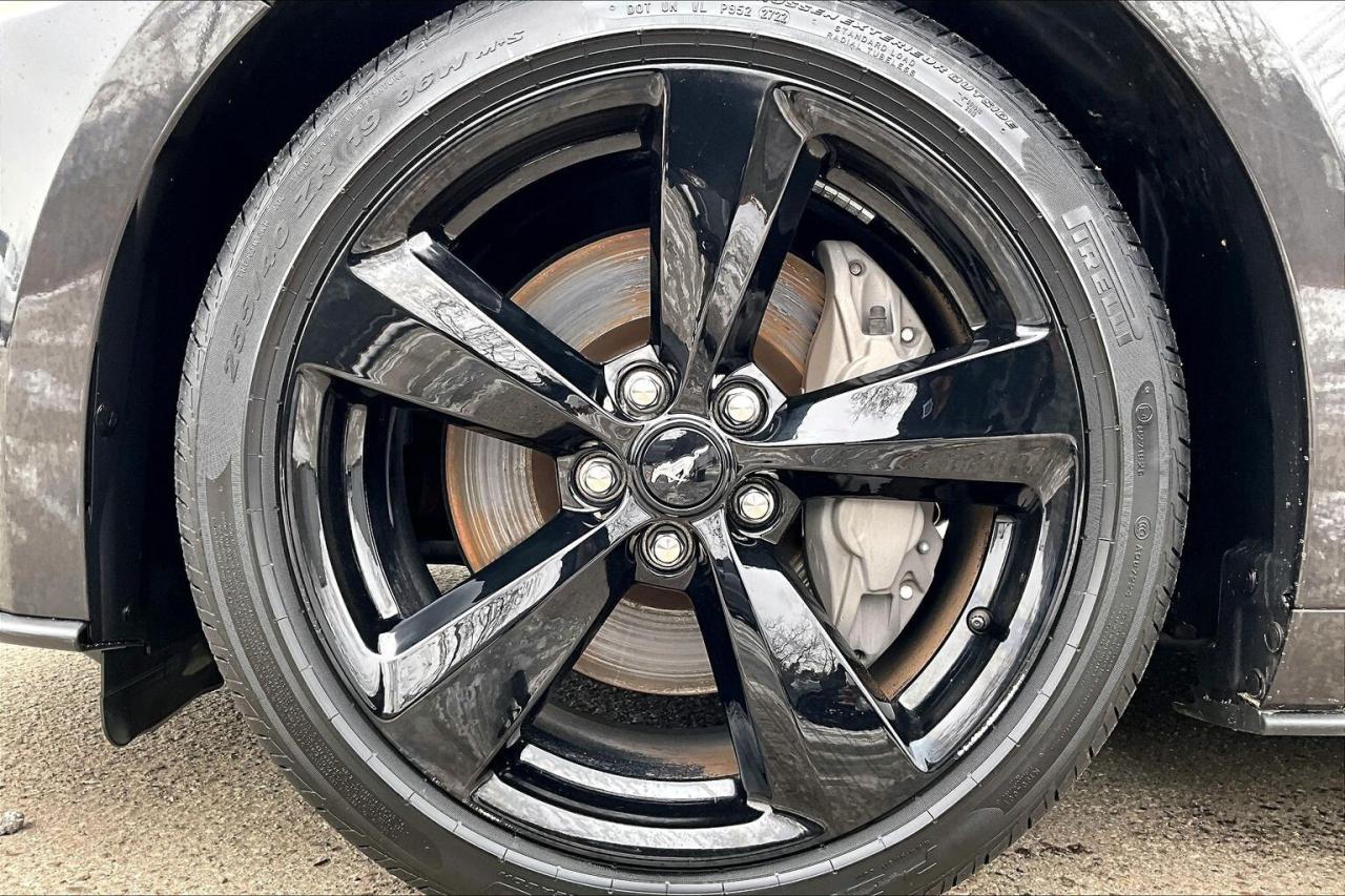 2022 Ford Mustang GT Premium Convertible | 401A Pkg | Black Pkg |RWD Photo