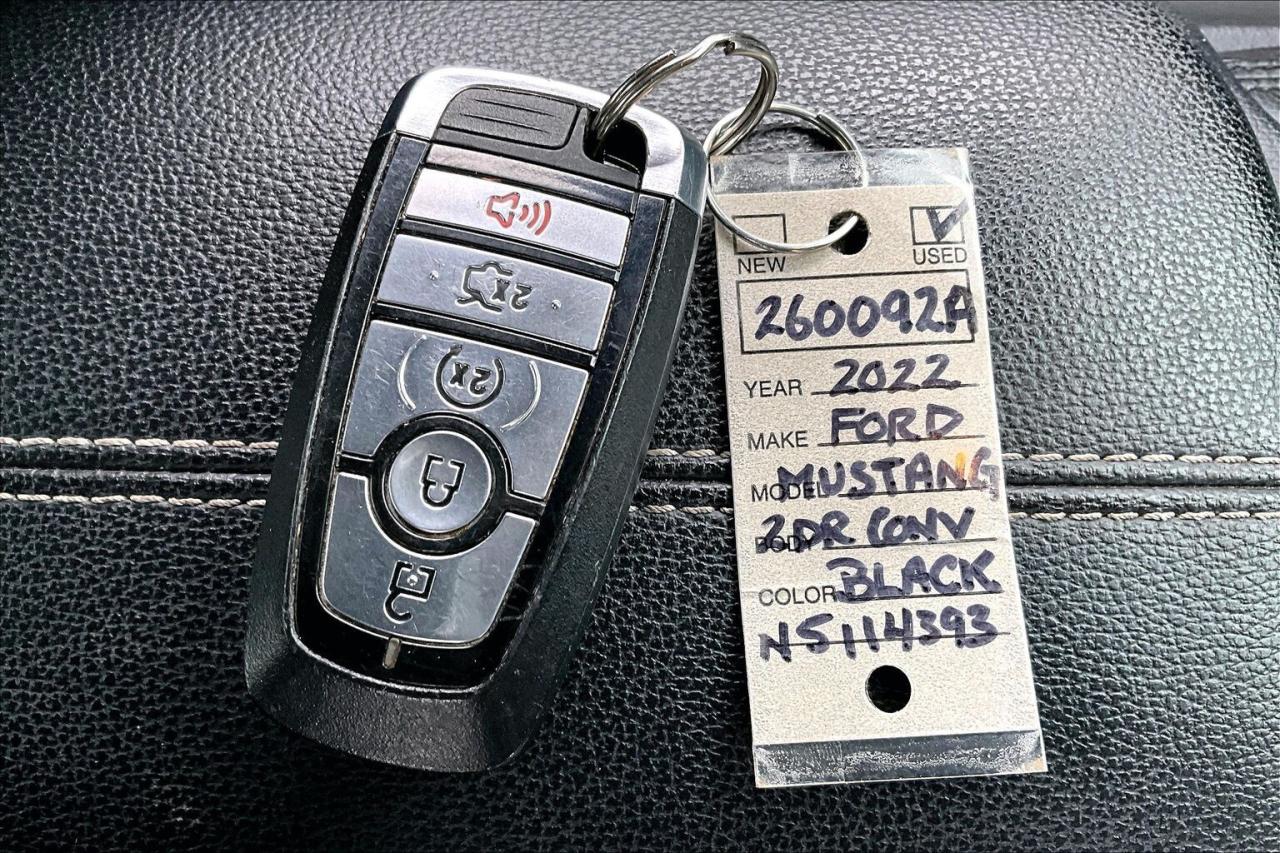 2022 Ford Mustang GT Premium Convertible | 401A Pkg | Black Pkg |RWD Photo