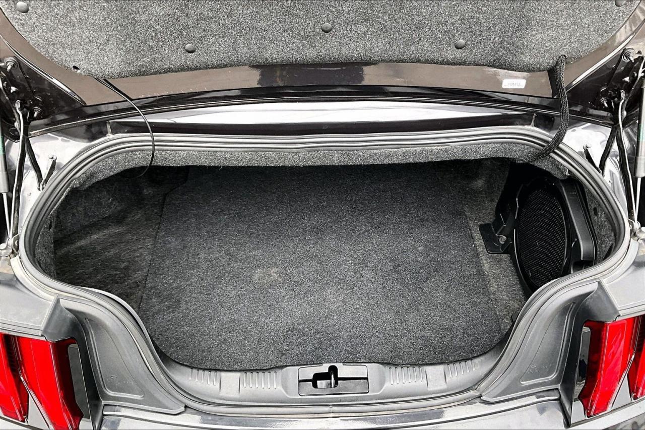 2022 Ford Mustang GT Premium Convertible | 401A Pkg | Black Pkg |RWD Photo