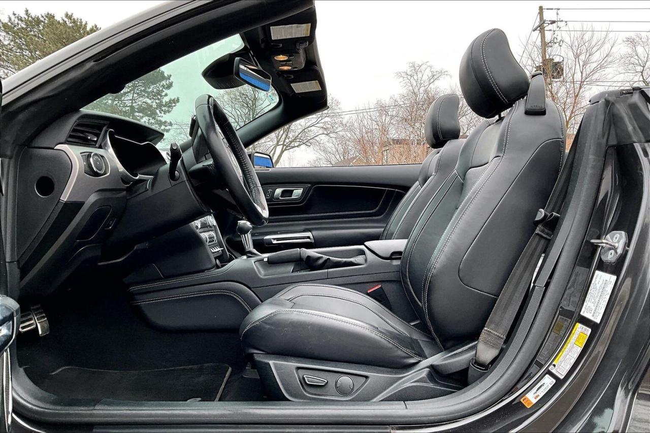 2022 Ford Mustang GT Premium Convertible | 401A Pkg | Black Pkg |RWD Photo
