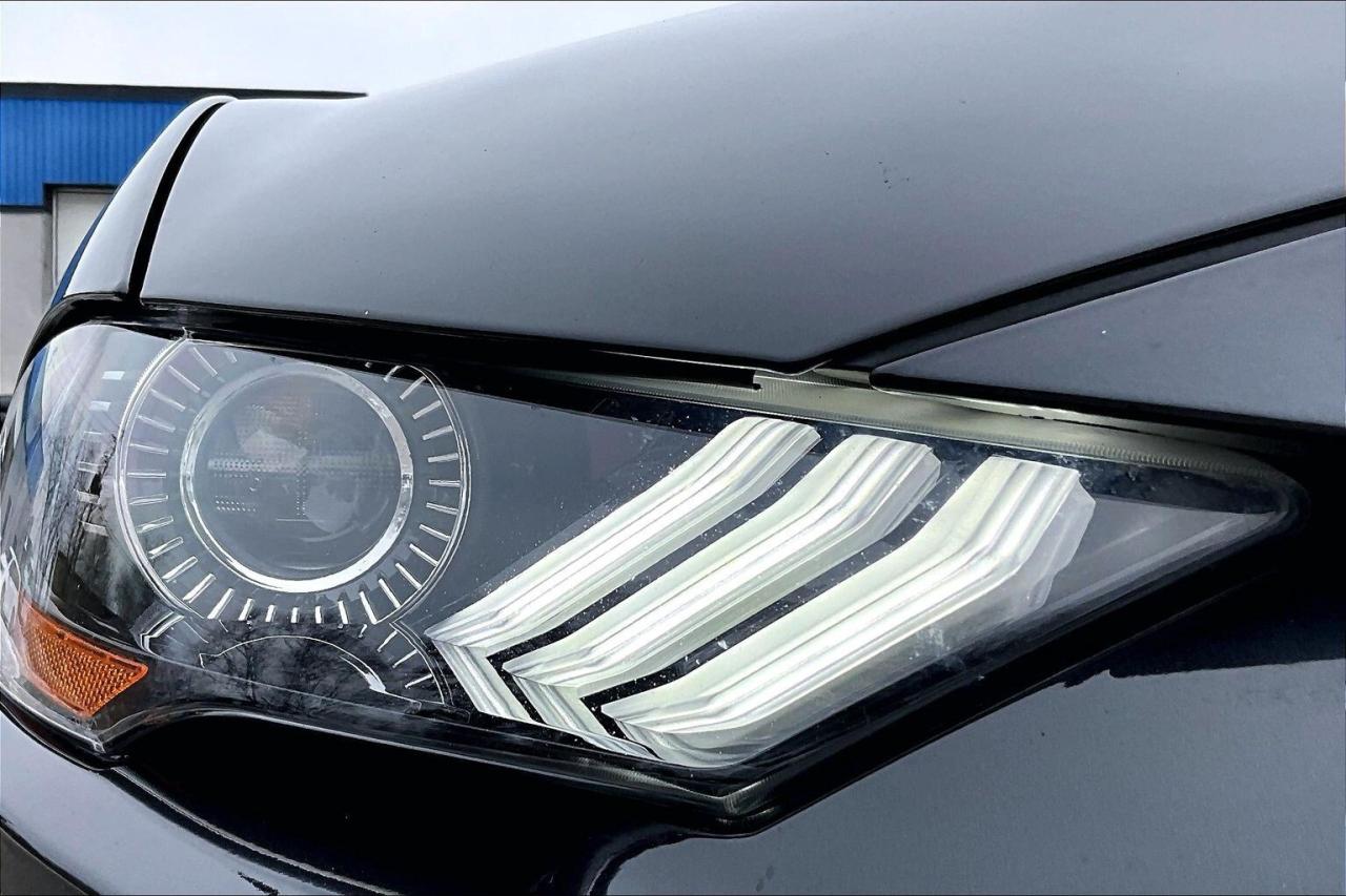 2022 Ford Mustang GT Premium Convertible | 401A Pkg | Black Pkg |RWD Photo