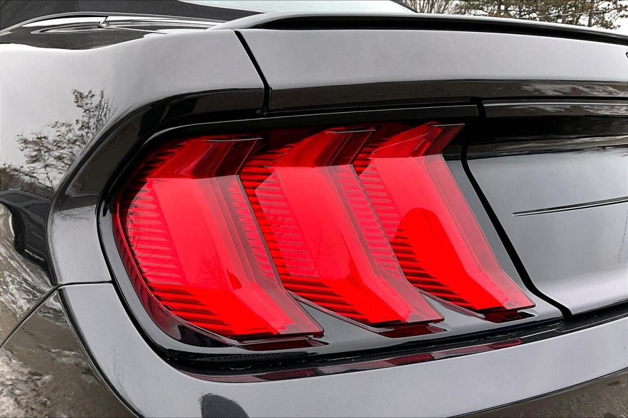 2022 Ford Mustang GT Premium Convertible | 401A Pkg | Black Pkg |RWD Photo