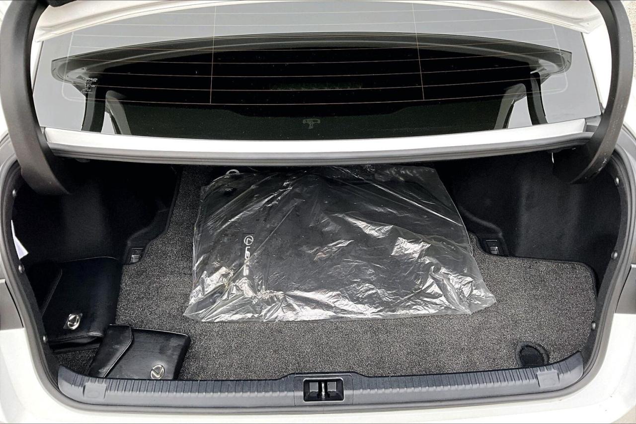 2024 Lexus IS IS300 F Sport Design AWD Photo