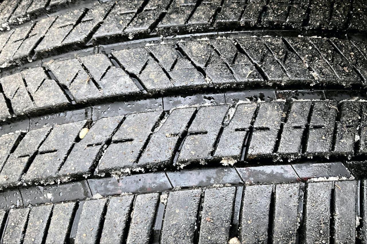 2024 Lexus IS IS300 F Sport Design AWD Photo