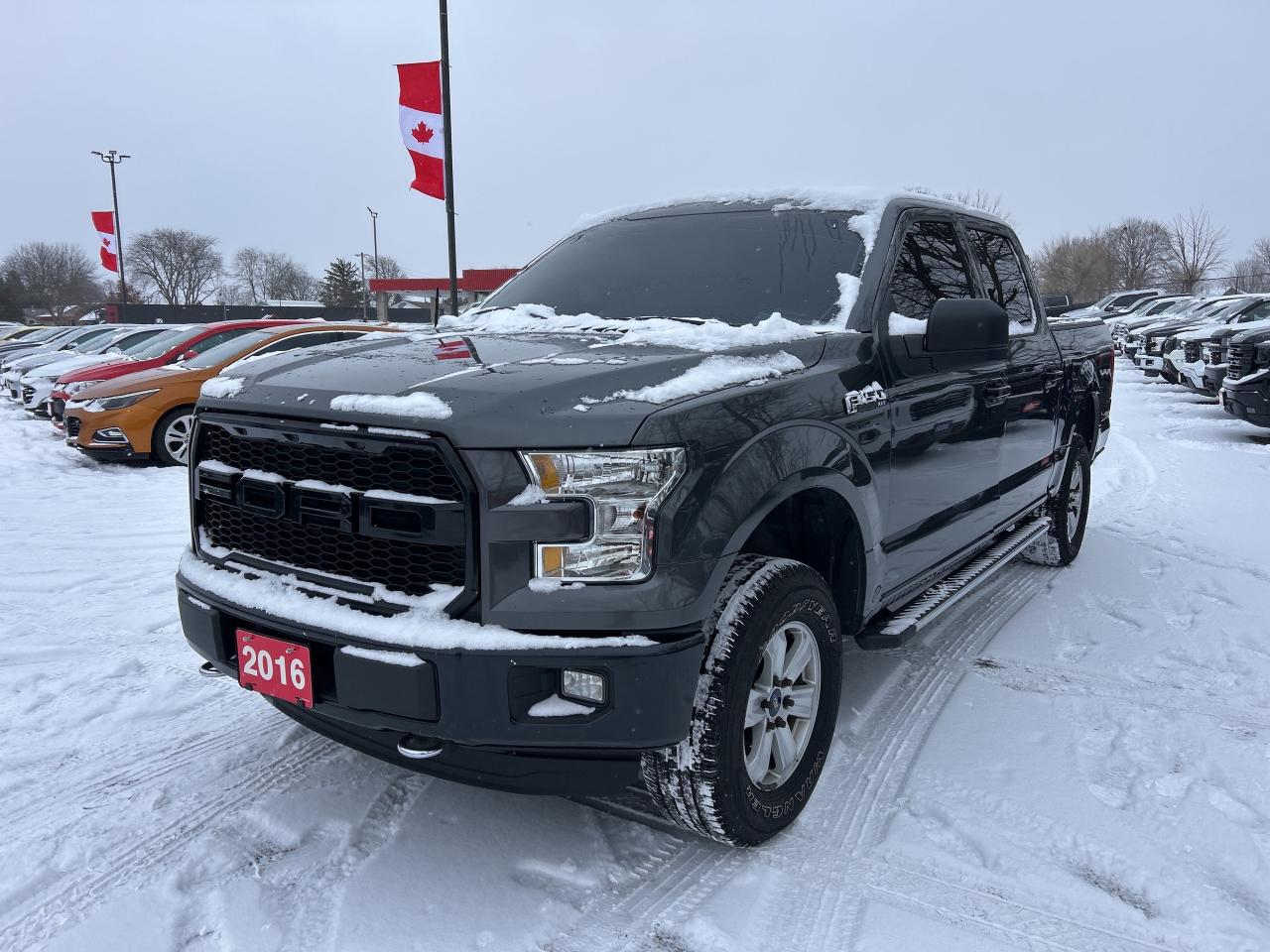2016 Ford F-150 XLT, BACK UP CAMERA, CLEAN CARFAX! - Photo #2