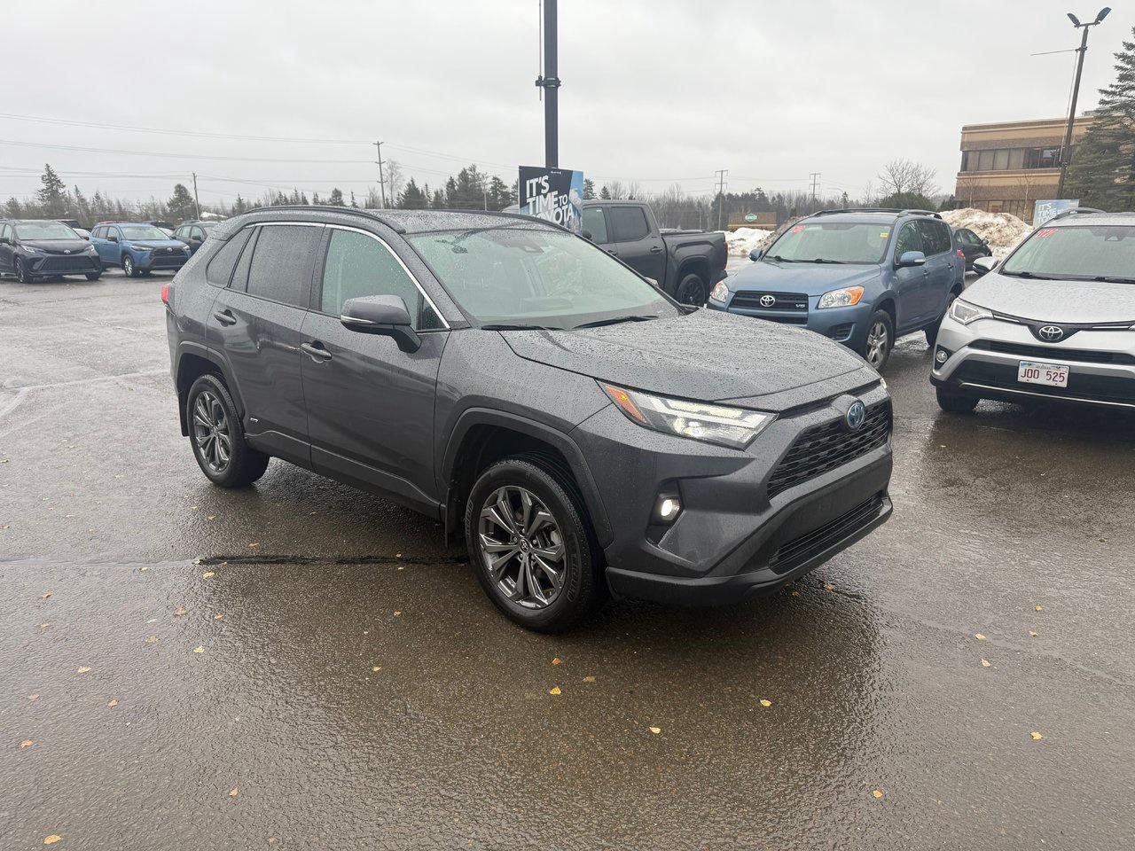 2023 Toyota RAV4 Hybrid XLE Photo2