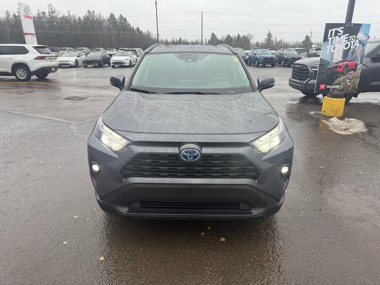 2023 Toyota RAV4 Hybrid XLE Photo