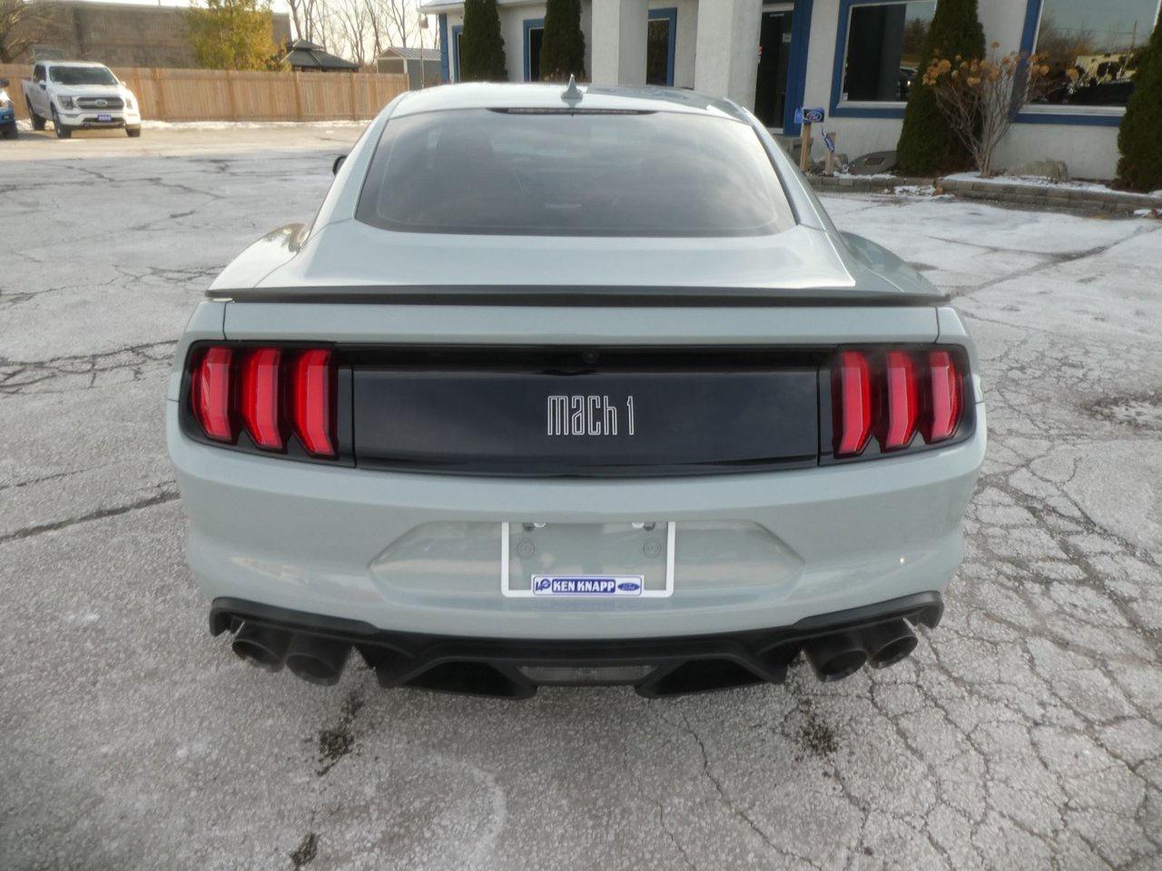 2021 Ford Mustang Mach 1 Photo