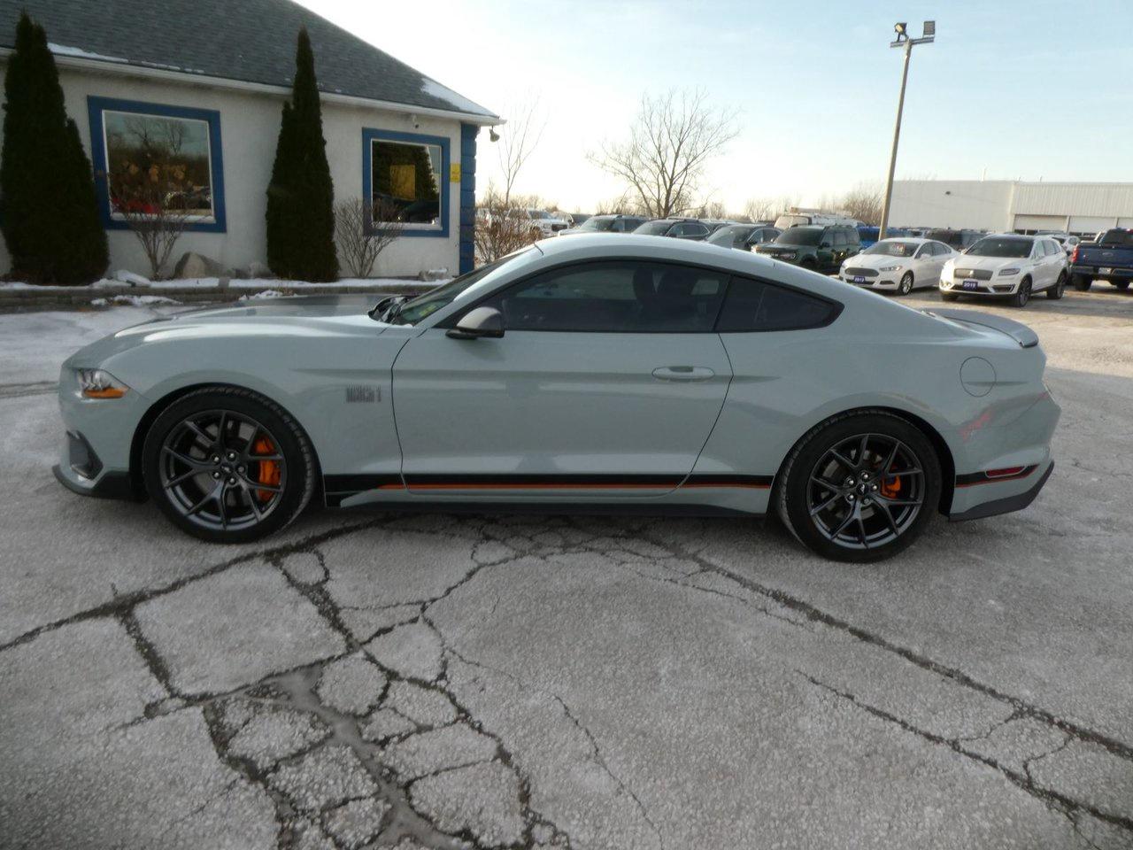 2021 Ford MUSTANG MACH I MACH 1 Photo