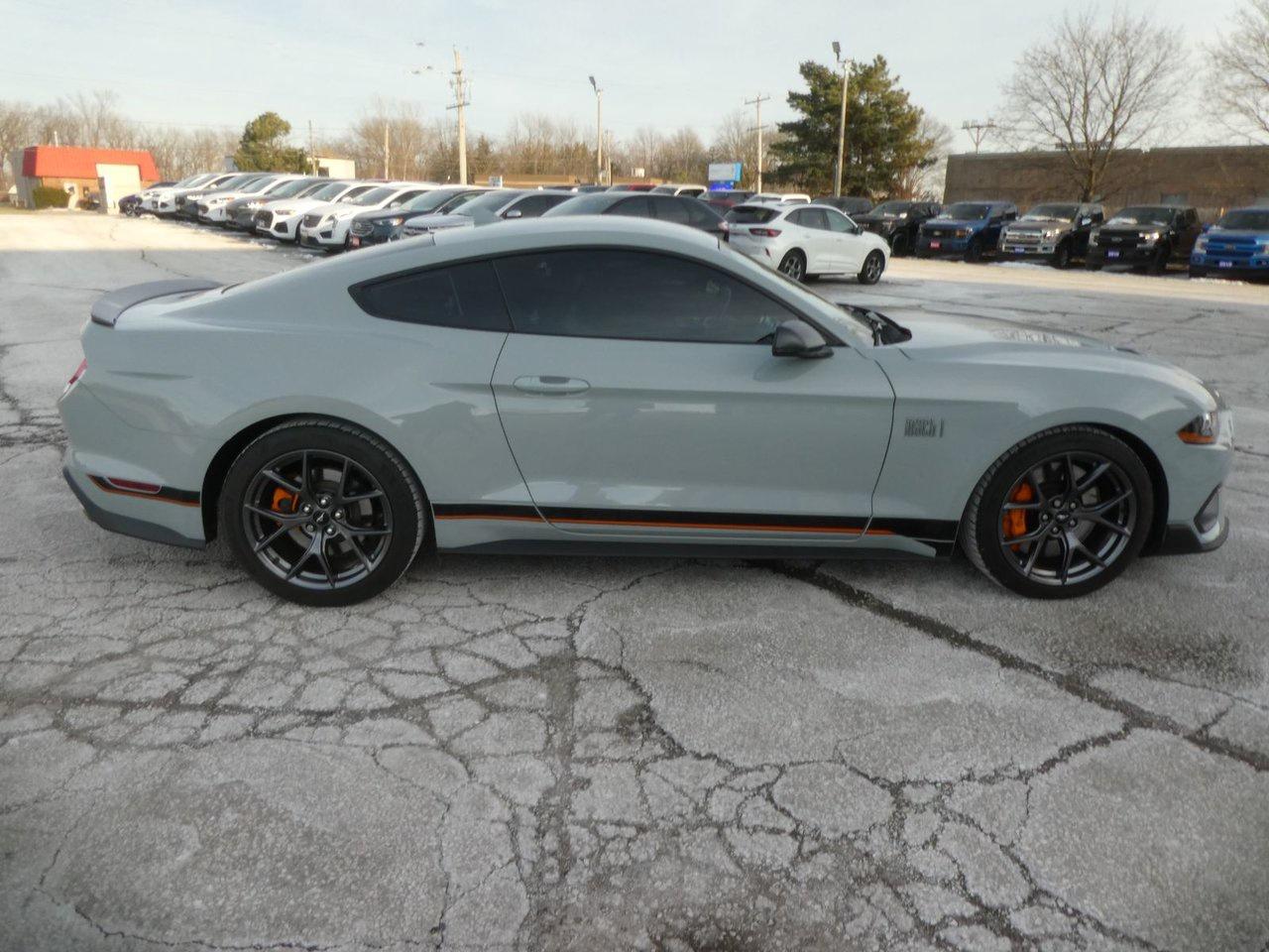 2021 Ford MUSTANG MACH I MACH 1 Photo