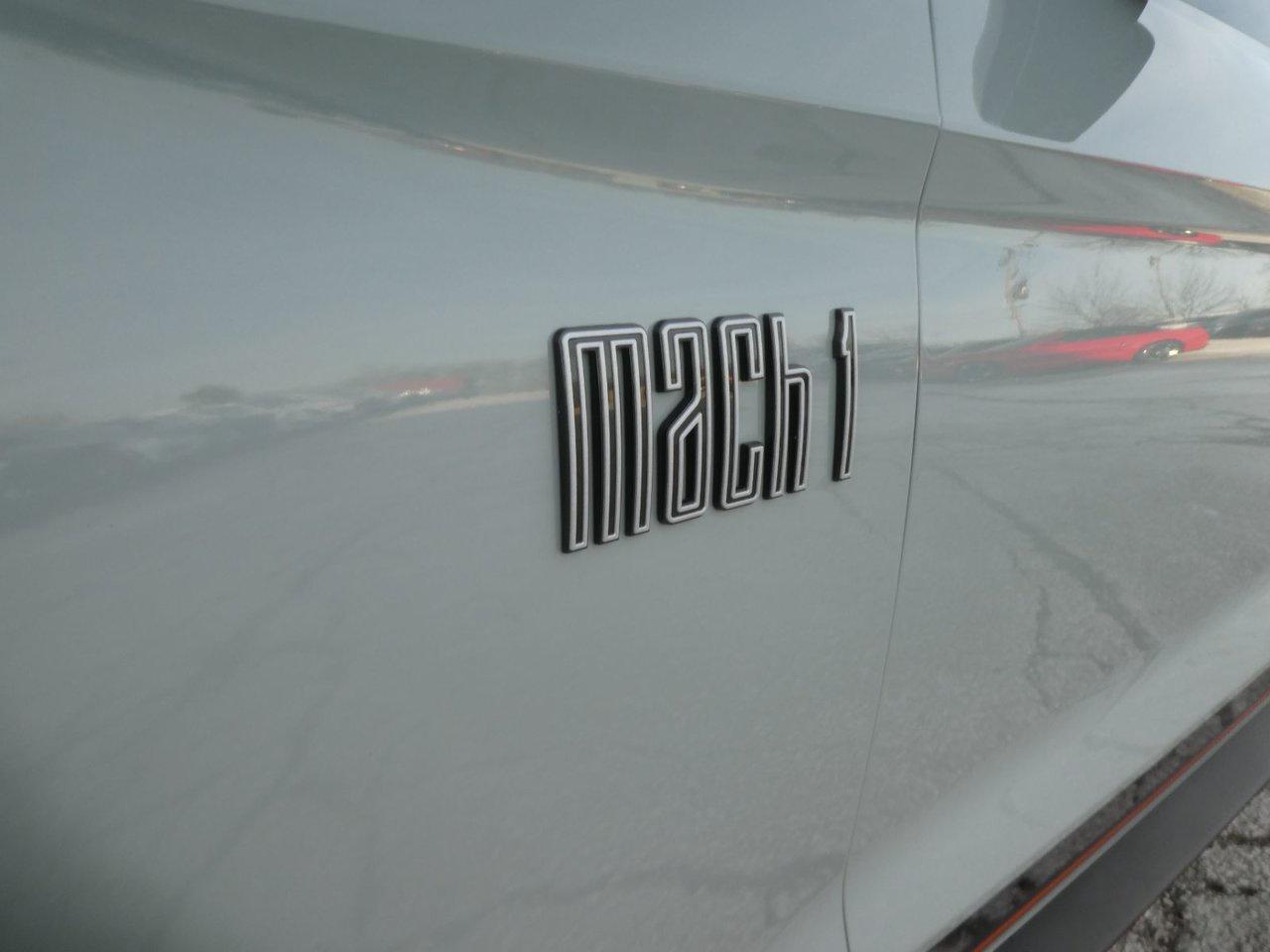 2021 Ford MUSTANG MACH I MACH 1 Photo