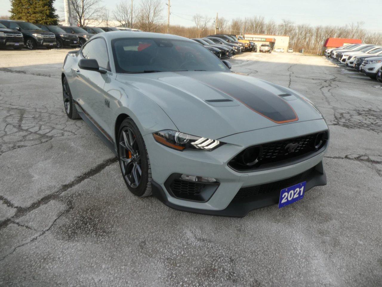 2021 Ford MUSTANG MACH I MACH 1 Photo