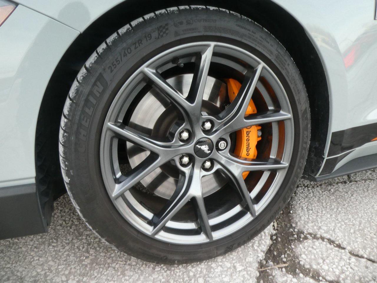 2021 Ford MUSTANG MACH I MACH 1 Photo