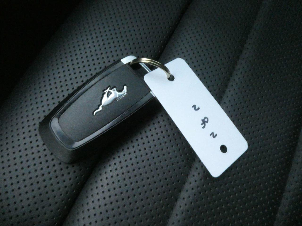 2021 Ford MUSTANG MACH I MACH 1 Photo